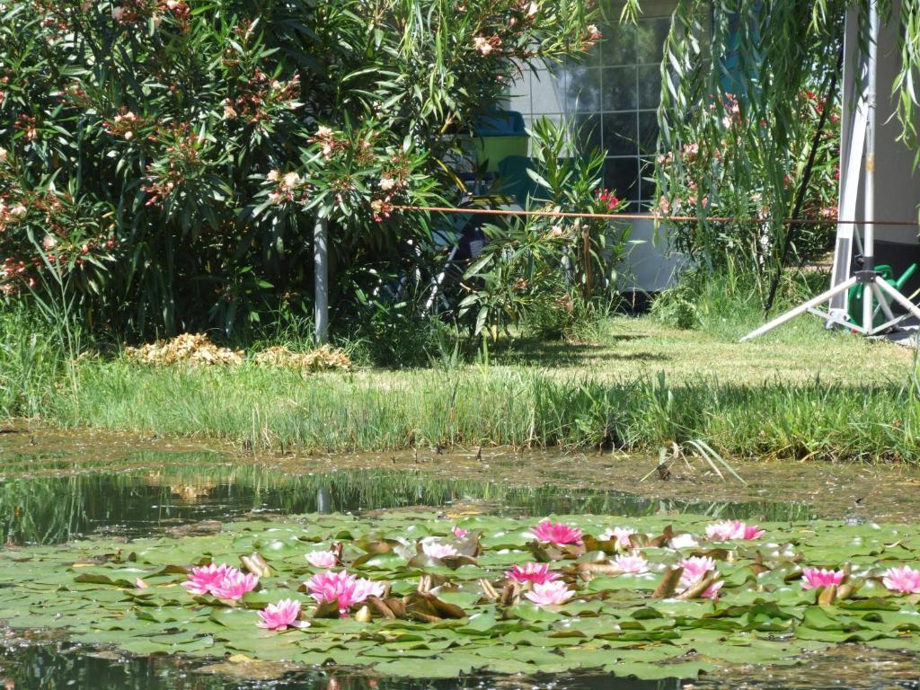 Camping Villaggio Italgest Sant'Arcangelo  Екстер'єр фото